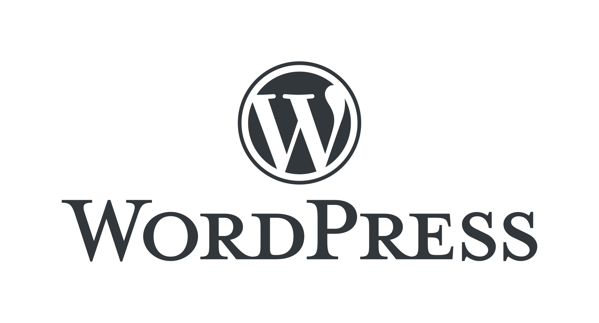 webentwicklung wordpress